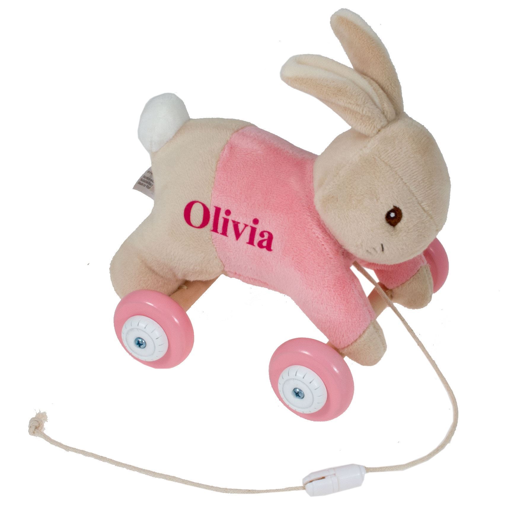 personalised wooden pull along toy