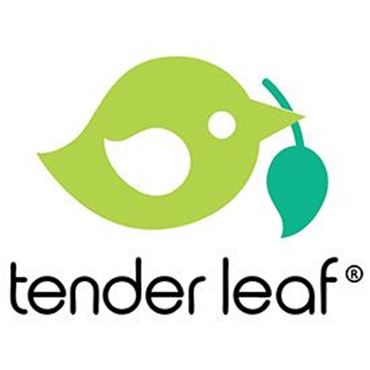 Picture for brand Tender Leaf Toys